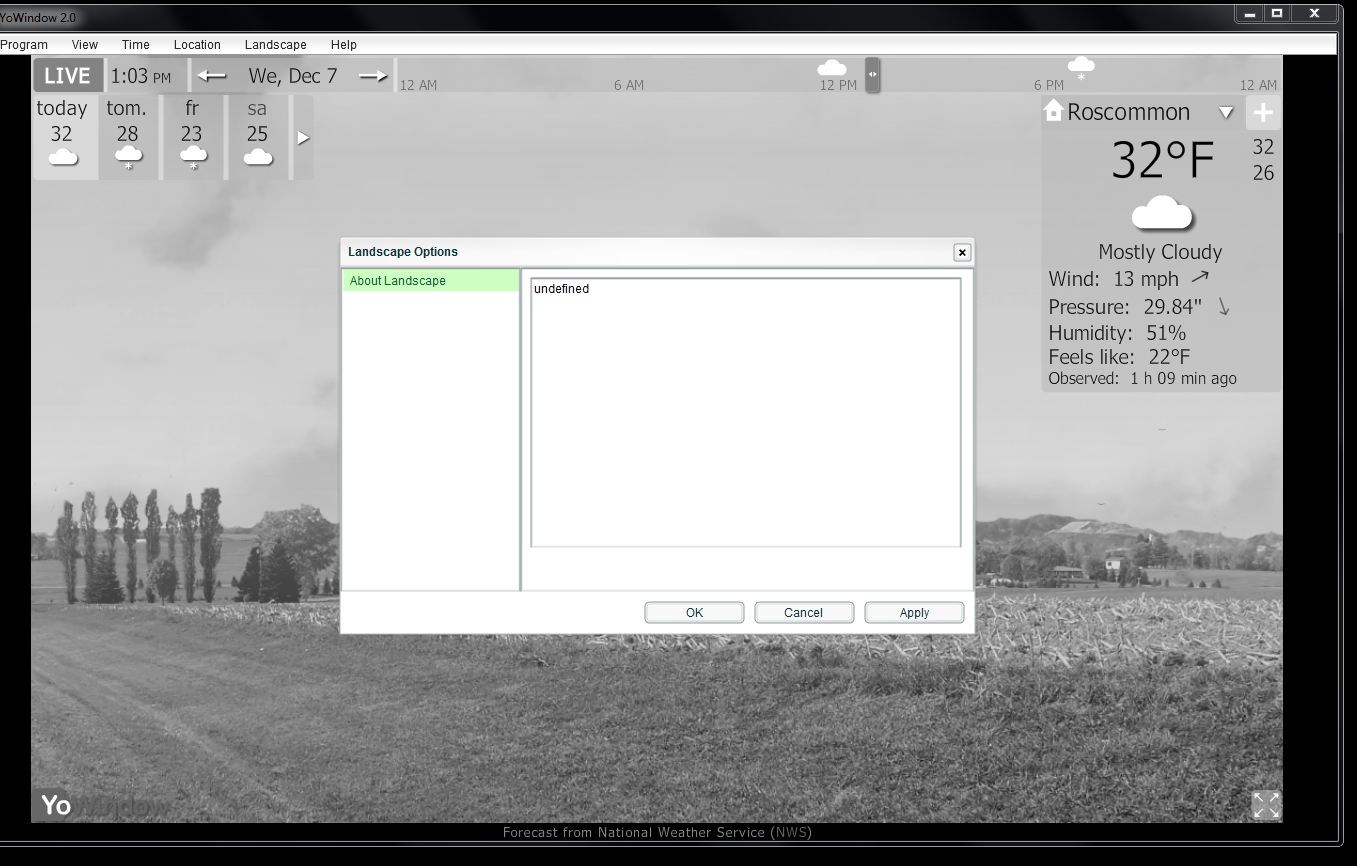 YoWindow Options undefined.JPG
