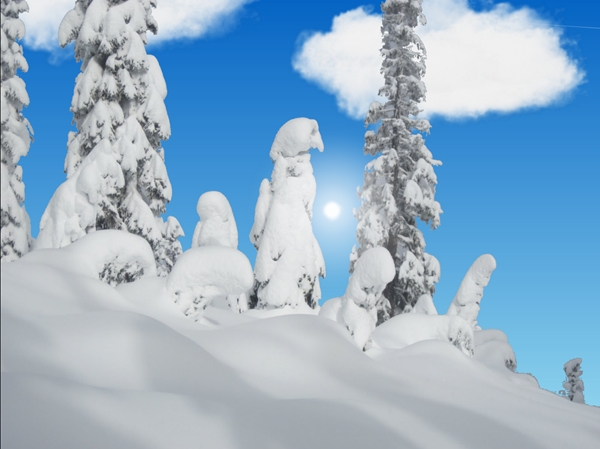 screen wintertime2.jpg
