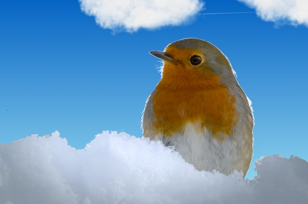 screen wintertime16.jpg