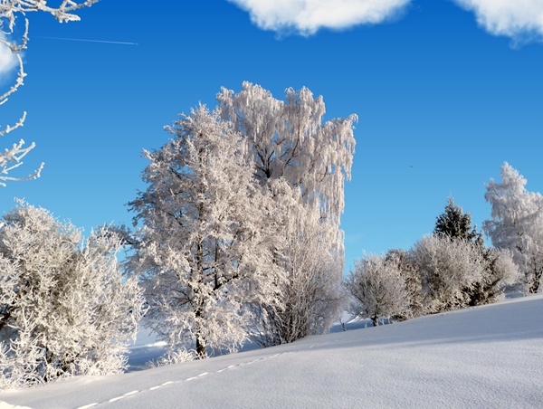 screen wintertime18.jpg