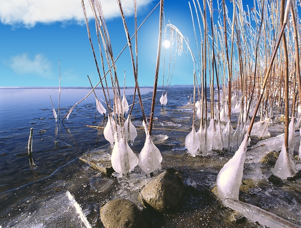 screen wintertime26.jpg