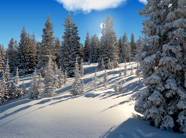 screen winter28.jpg