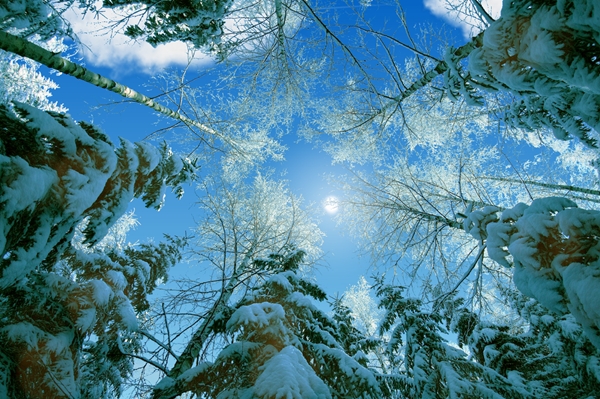 screen winter31.jpg