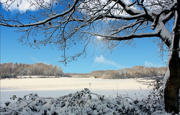 screen winter36.jpg
