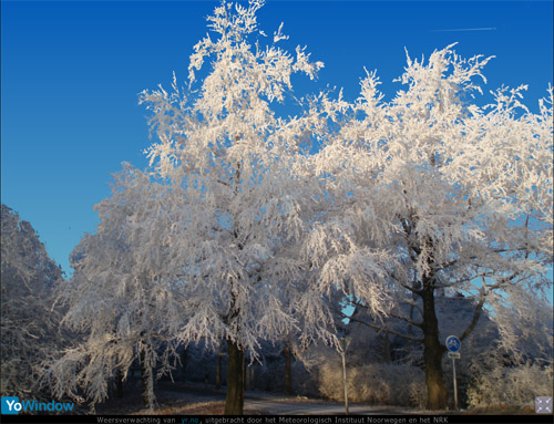winterlandschap13.jpg