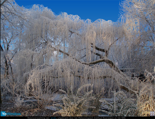 winterlandschap14.jpg