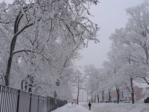 letitsnow.jpg