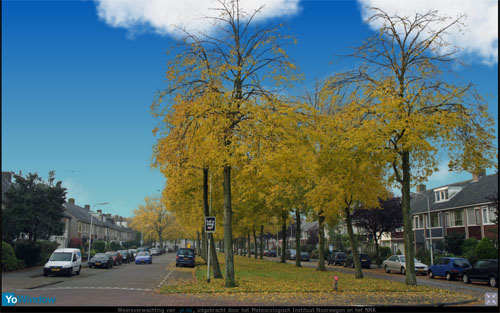 uithoorn.jpg