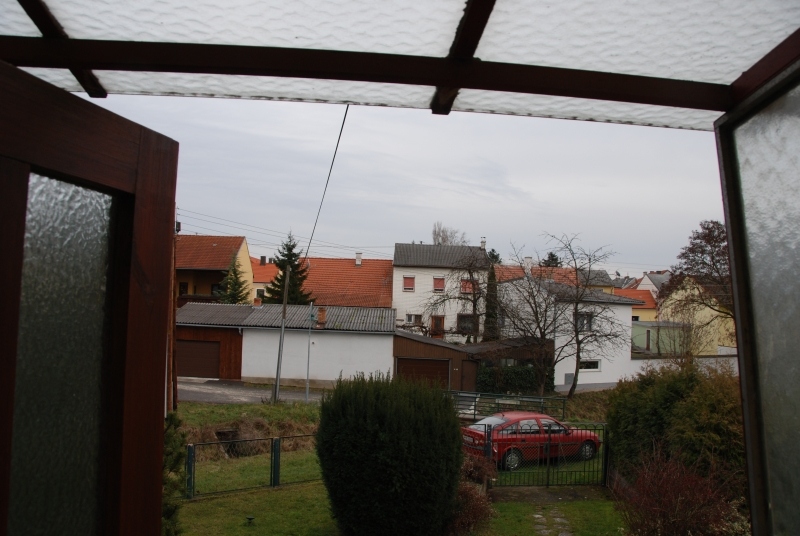 The world outside my window
