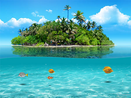 tropical island-1.jpg