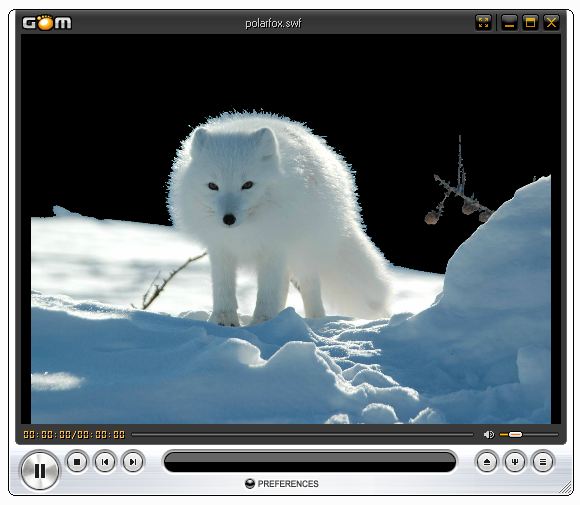 polarfox.JPG