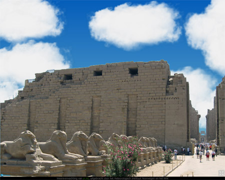 egypte7.jpg