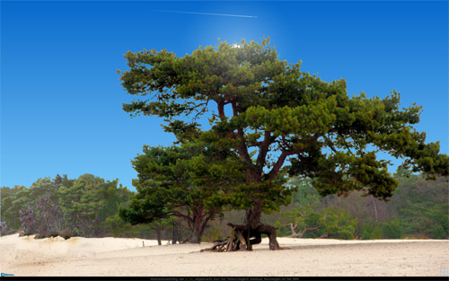 soesterduinen.jpg