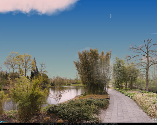 tuin2_.jpg