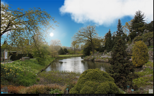 tuin6.JPG