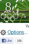 chrome options.jpg