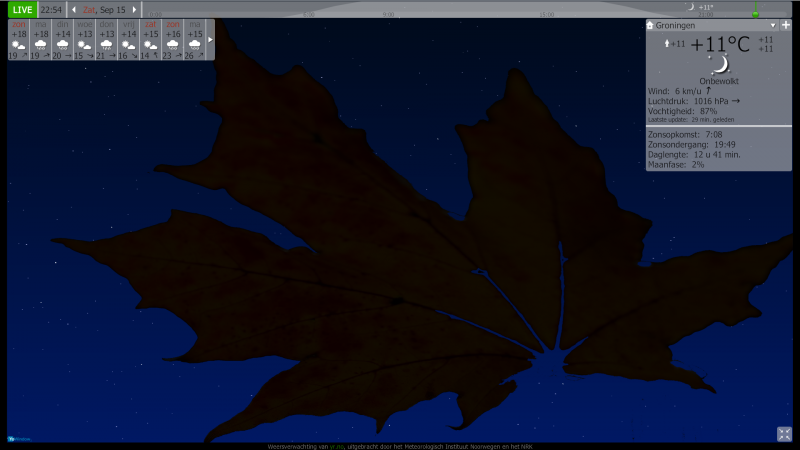 Autumn Leaf.png