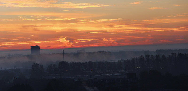 rood_in de mist.jpg