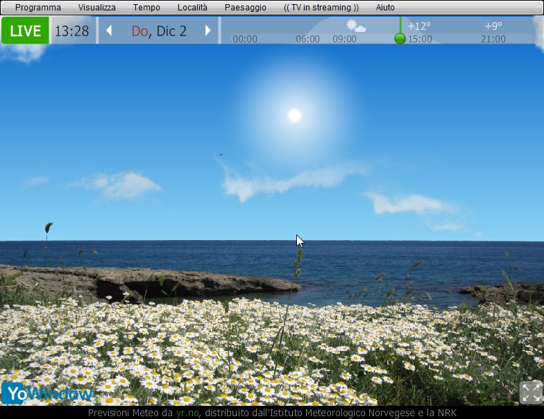 flowersandsea2.jpg