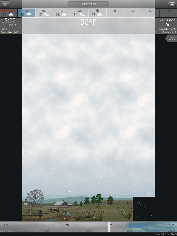 IMG_0832.PNG
