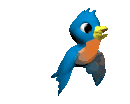 vogel-a-1015.gif