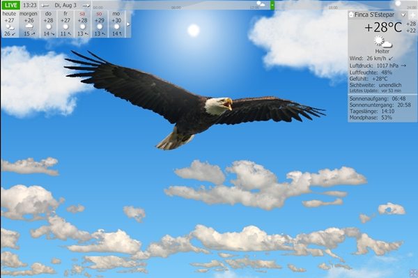 screen eagle.jpg