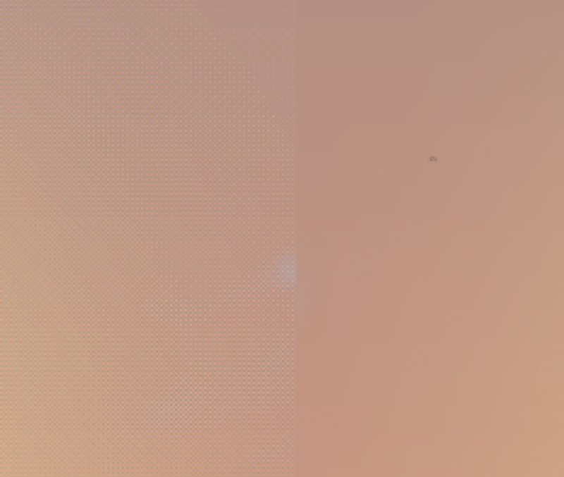 wallpaper_quality_zoom.png