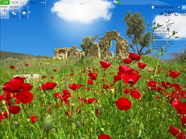 screen mohnwiese.jpg