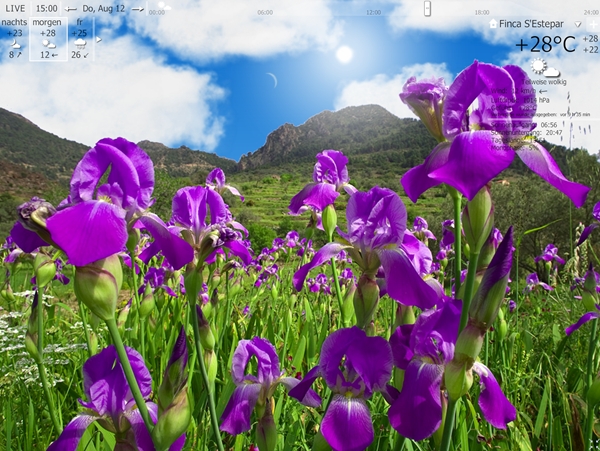 screen iris.jpg