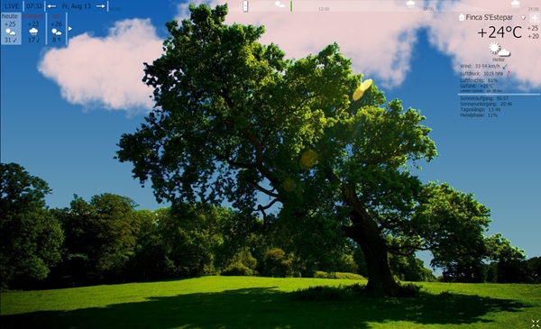 screen tree.jpg
