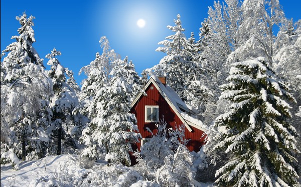 screen winter4.jpg