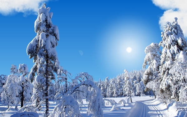 screen winter9.jpg